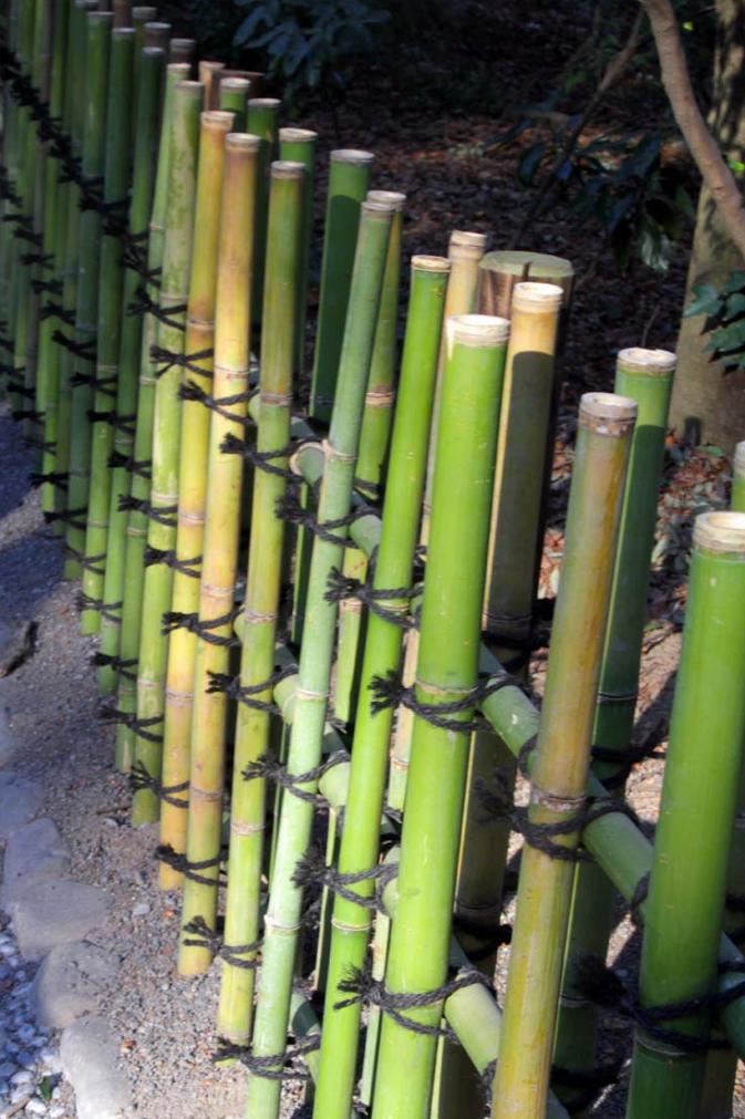 Bambuszaun