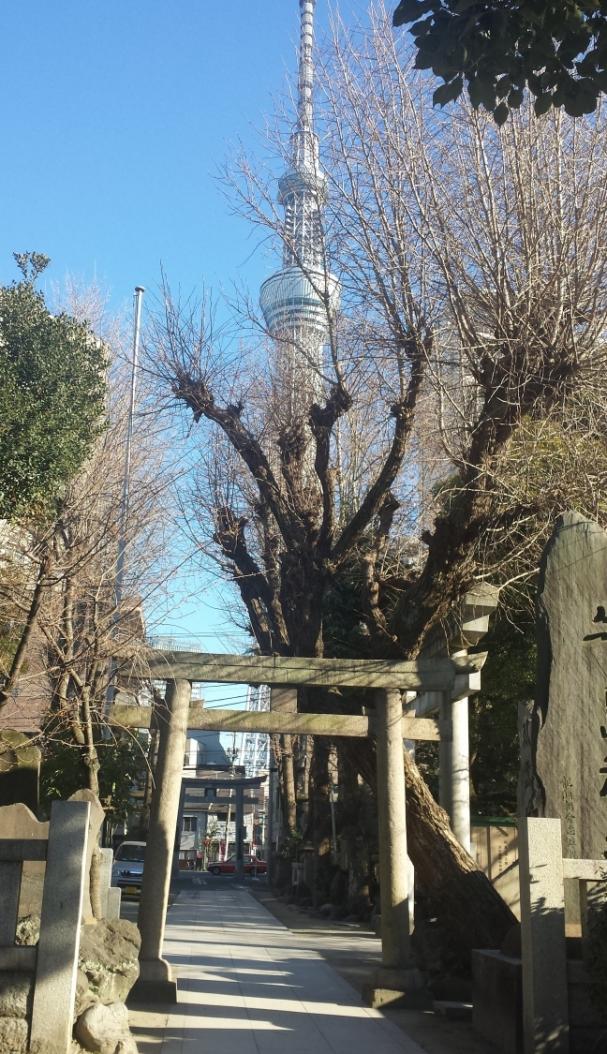 Sky Tree von Shinto Schrein